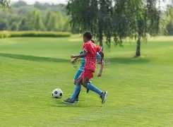 欧博,产品,ABG欧博,欧博,欧博官网,欧博ABG官网