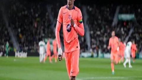 街头霸王6电影预告片期号专家质合推荐前区十码